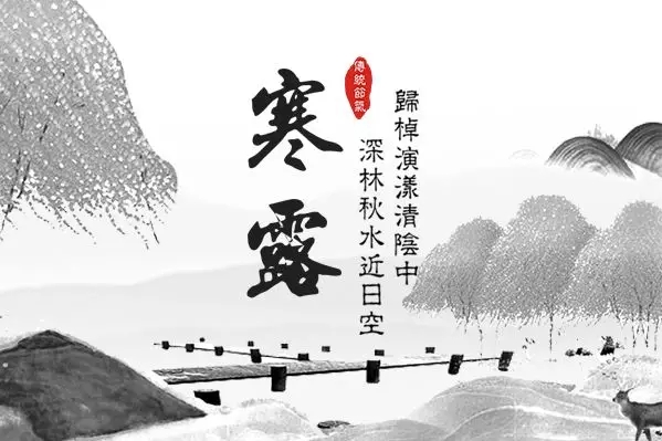 ʮĹ(ji)⣺¶